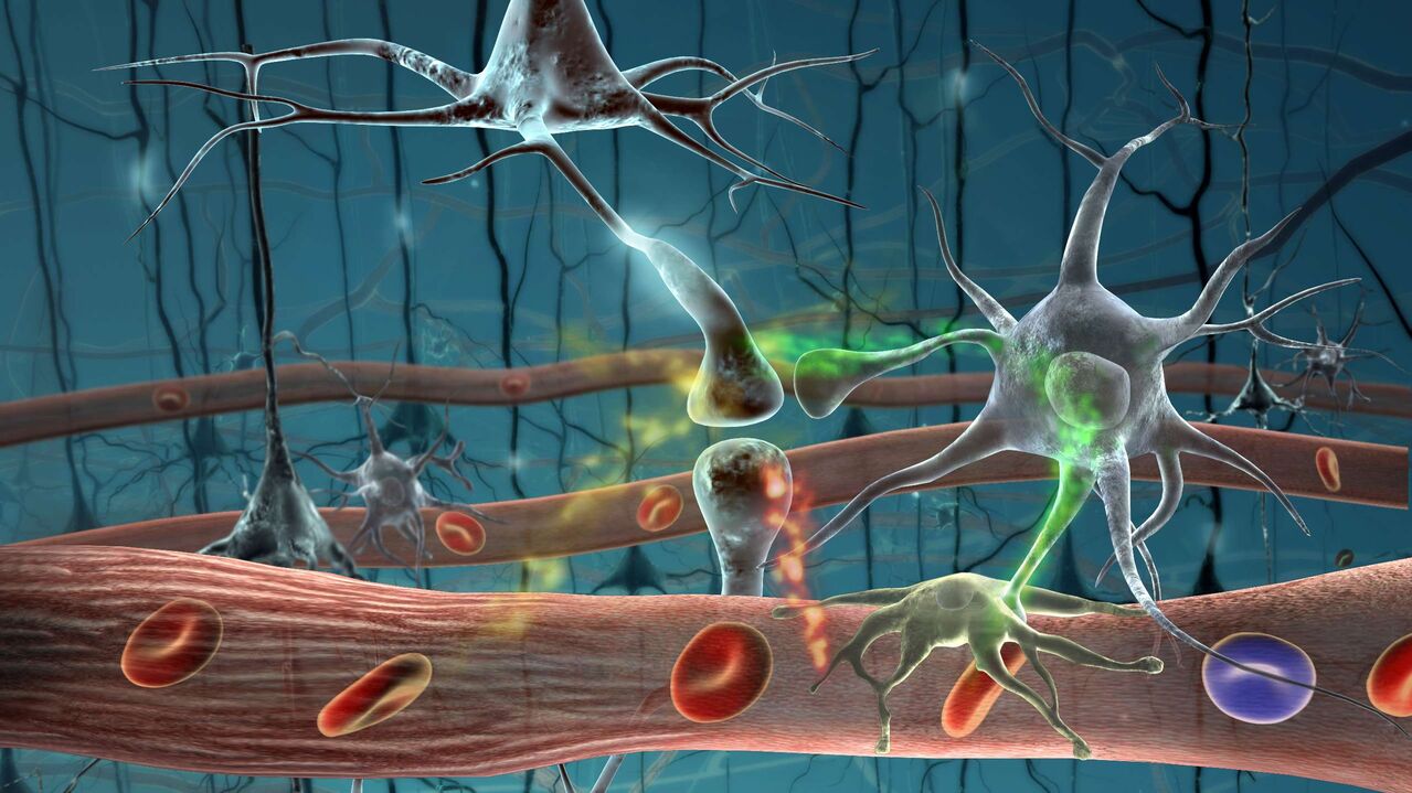 células parasitas no corpo humano
