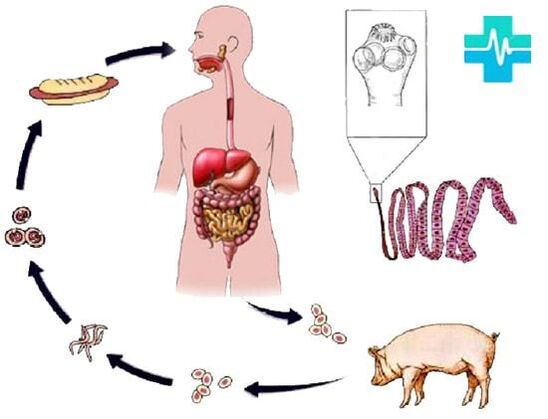 Maneiras de infecção