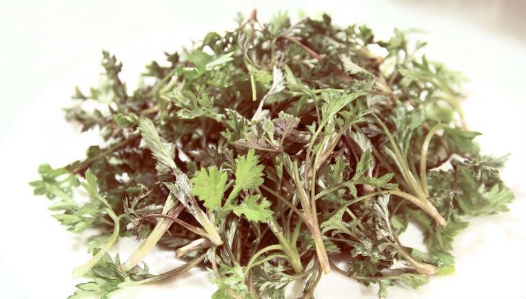 Wormwood de parasitas
